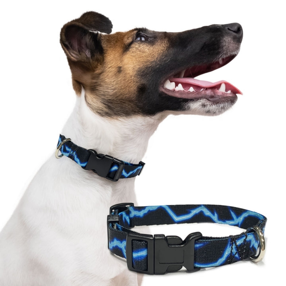 2x 🆕️Perri's Pet Products / Dog Collars